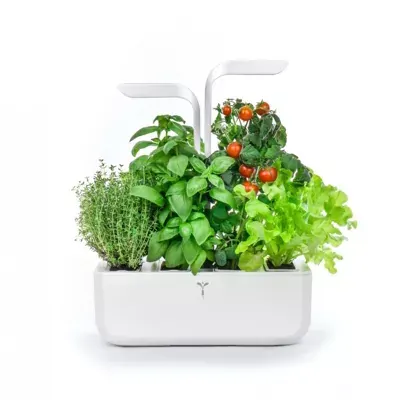 Image du produit suivant